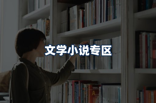 文学小说PDF展示